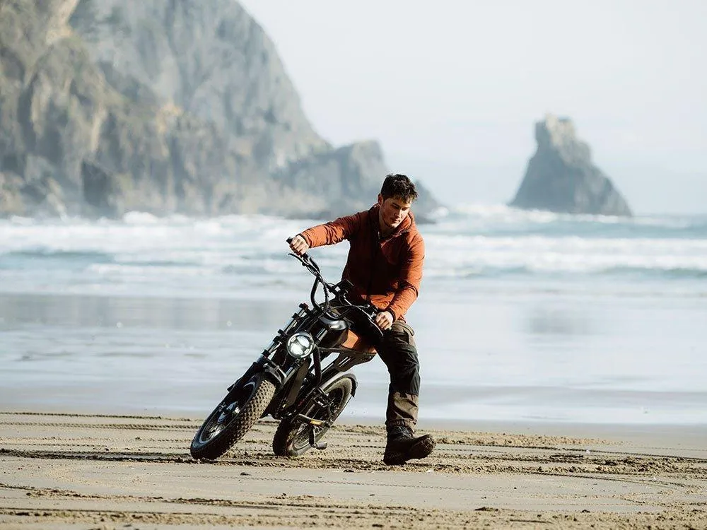 Freego Shotgun Flash F3 Pro Max Premium Electric Bike