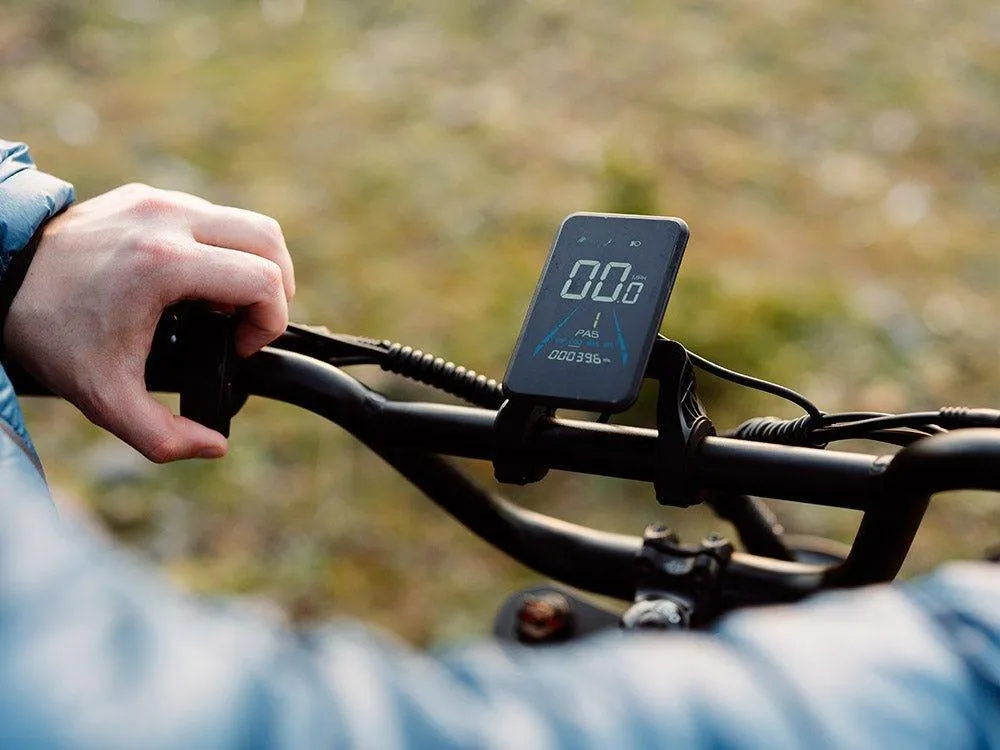 Freego Shotgun Flash F3 Pro Max Premium Electric Bike