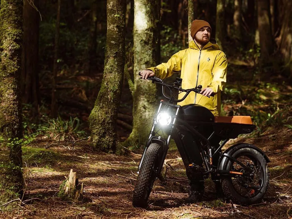 Freego Shotgun Flash F3 Pro Max Premium Electric Bike