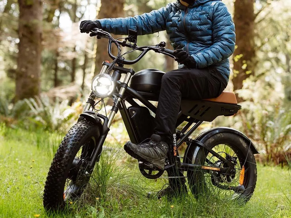 Freego Shotgun Flash F3 Pro Max Premium Electric Bike
