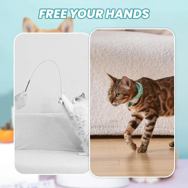 Hot SaleRechargeable Wearable Electronic Collar for Cat
