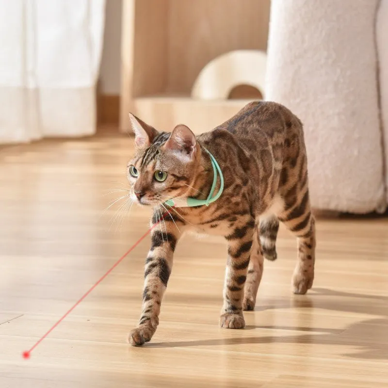 Hot SaleRechargeable Wearable Electronic Collar for Cat